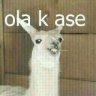detranks
