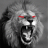 leon_x_x