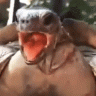 Fali