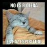 Acosof