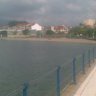Estivi
