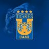 JosePinho10