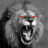 leon_x_x